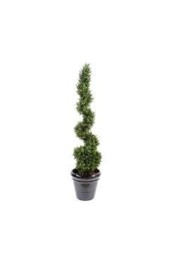 Slim Artificial Buxus Spiral