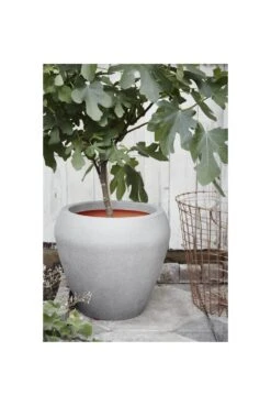Tapered Vase Planters In Choice Of Colours