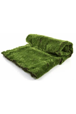 Topiary Moss Mat 100cm X 200cm