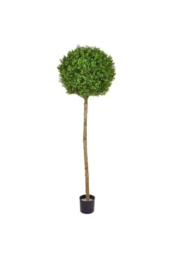UV Protected Buxus Ball 1.5m Tall