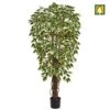 Artificial Ficus Tree Flame Resistant Variegated (IFR) -Artificial Plant Shop untitled brand artificial ficus tree flame resistant variegated ifr p26 51 image