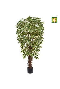 Artificial Ficus Tree Flame Resistant Variegated (IFR)