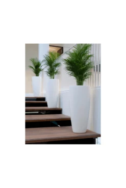 White Tall Matt Finish Planter 80cm X 37cm